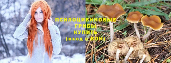 ГАЛЛЮЦИНОГЕННЫЕ ГРИБЫ Горнозаводск