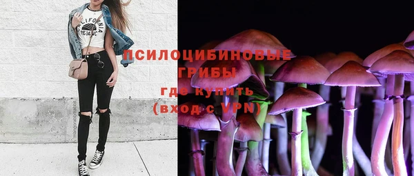 первитин Горняк