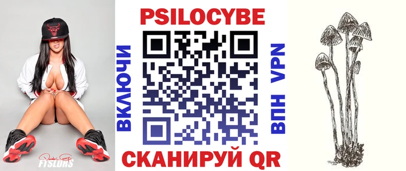 Галлюциногенные грибы мухоморы  Купить закладки  Шацк 