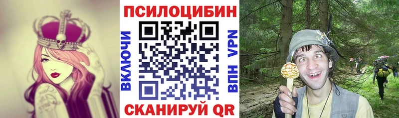 Псилоцибиновые грибы Psilocybe Шацк